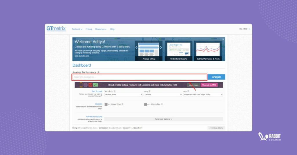 GTmetrix analysis dashboard