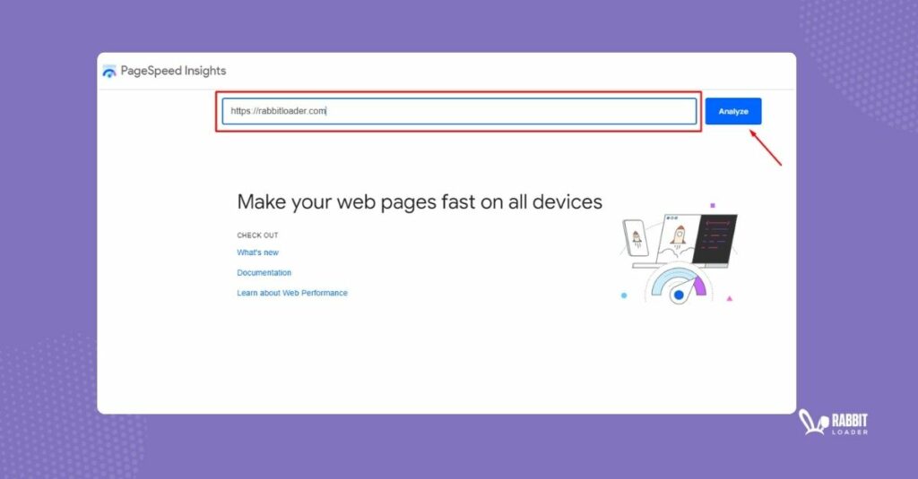 Pagespeed insights analyse