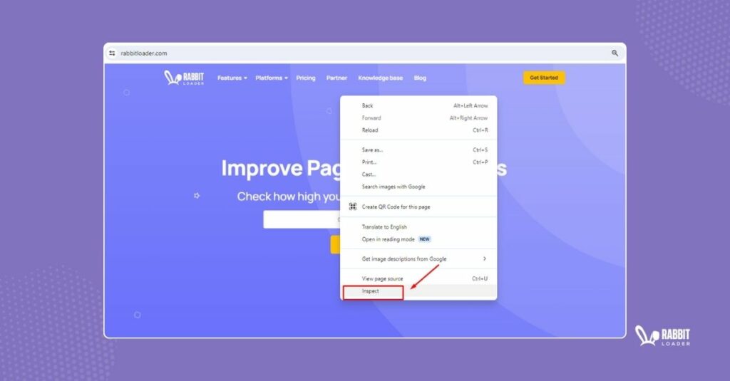 inspect website