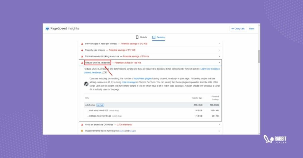 reduce unused javascripts