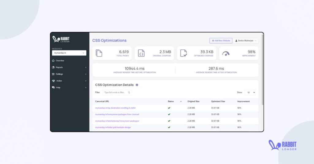 Critical CSS Opytimization