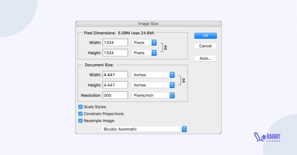 image size