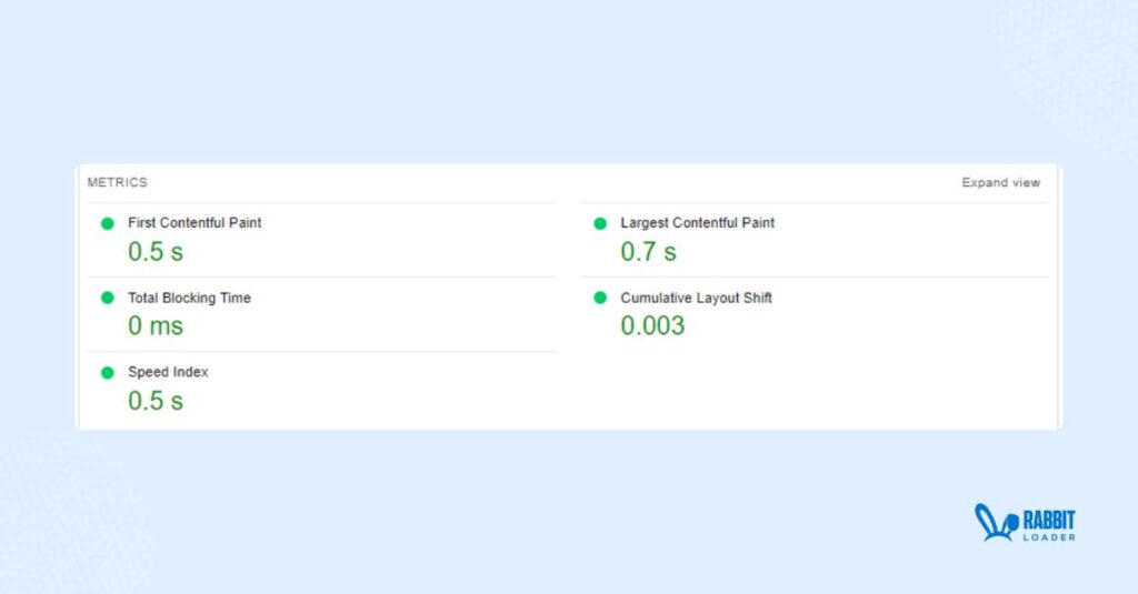 PageSpeed insights performance metrix